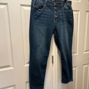 Judy Blue Dark Wash Ankle Jeans